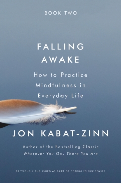 The Healing Power of Mindfulness: A New Way of Being [Book]