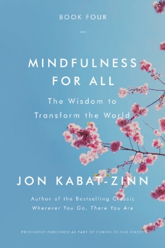30min Méditation sans objet - Jon Kabat-Zinn - version moins
