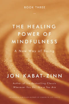 Books - Jon Kabat-Zinn